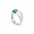 Turquoise Crest